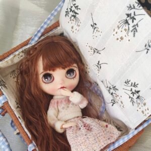 BLYTHE OB 24 BJD DOLL travel bag for 1/6 BJD Blythe Protective SHOWCASE/DISPLAYCASE/CARRYCASE02 26CM*16CM*11CM