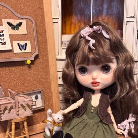Custom Blythe Doll 2025 OOAK Blythe Limited -Art Doll  0111